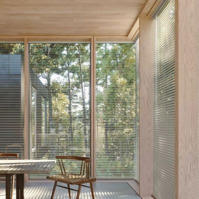 Hunter Douglas blinds in an Albuquerque home